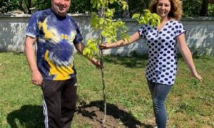 Садим дръвчета в двора на центъра